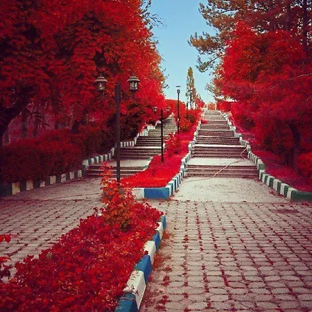 Koksoy 3*